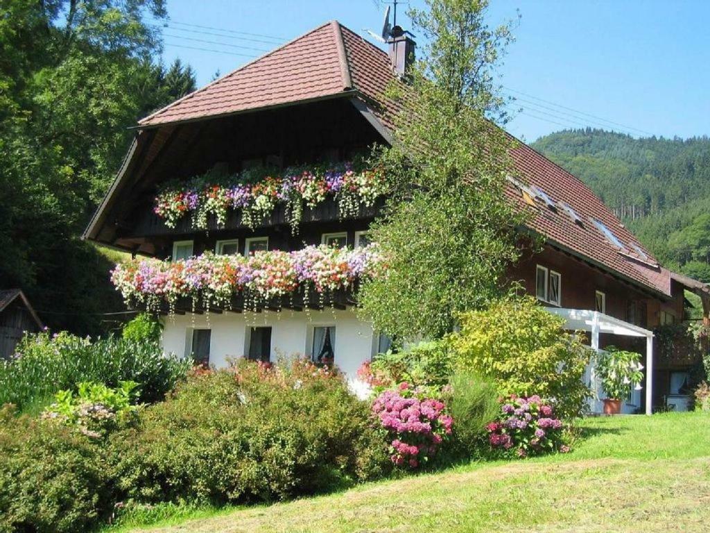 Haus Schneider Apartment Гутах Екстериор снимка
